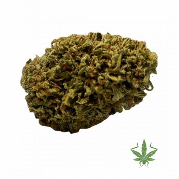 Girl Scout Cookies and Sour Diesel weed online Canada from Tyendinaga mohawk territory weed dispensary My Grasshopper. Buy weed.