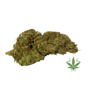gelato