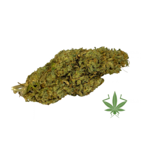 og kush