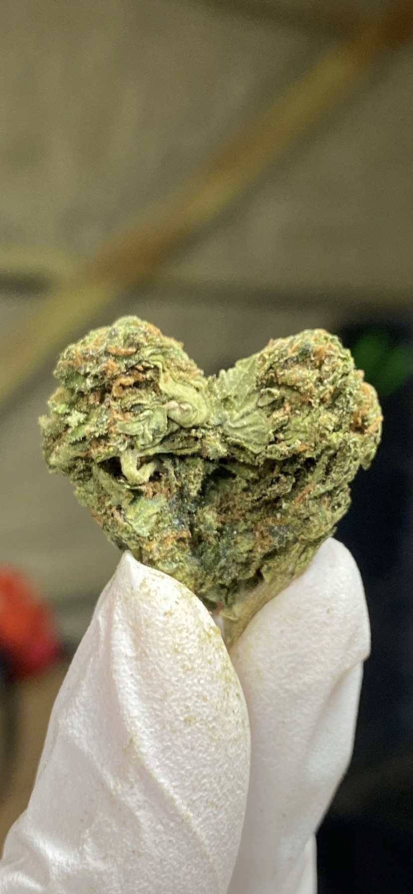 Heat shaped cannabis bud. tyendinaga mohawk territory weed. Buy weed. tyendinaga weed shop and online dispensary.