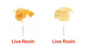 resin vs rosin